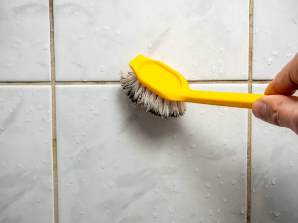Certified Mold Removal in Brea, CA