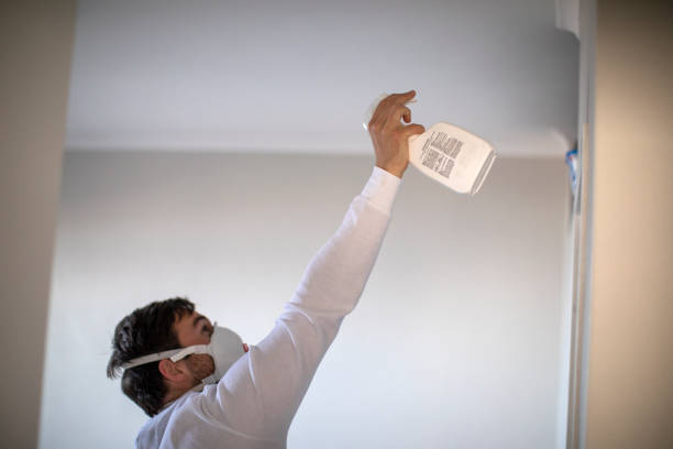 Mold Removal Process in Brea, CA