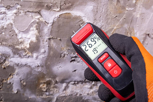 Best Mold Inspection  in Brea, CA