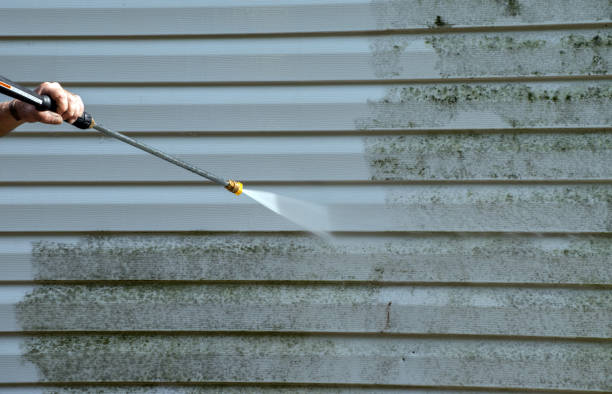 Best Mold Removal Process  in Brea, CA