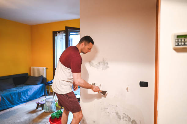 Best Mold Removal Near Me  in Brea, CA